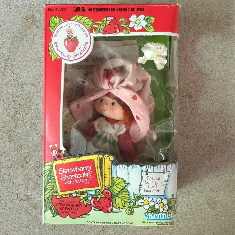 Vintage Strawberry Shortcake Doll Custard Cat Pet 1982 Original Box No. 43020